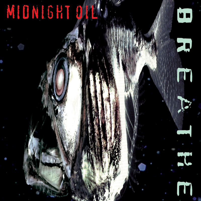 download discografia midnight oil torrent